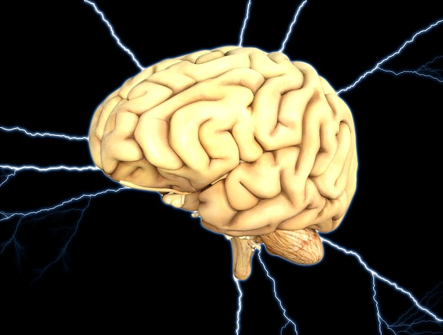 LEAP – agyintegráció 3. rész energetikai kineziológiai